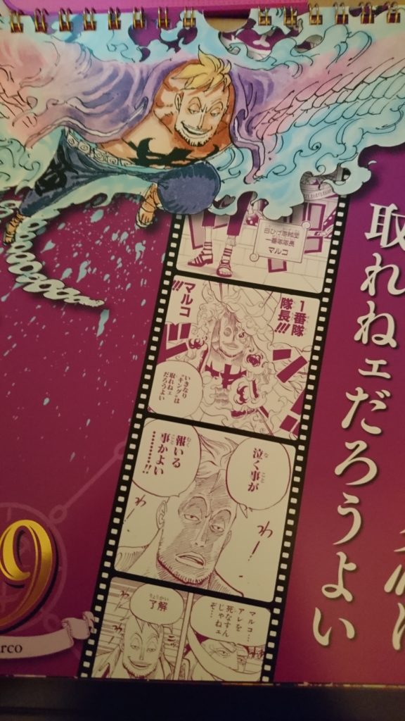 ワンピースコミックカレンダー日めくり19everyday One Piece 感想